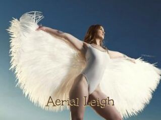Aerial_Leigh Porno FR