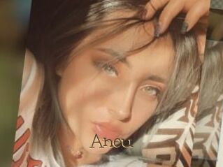 Aneu