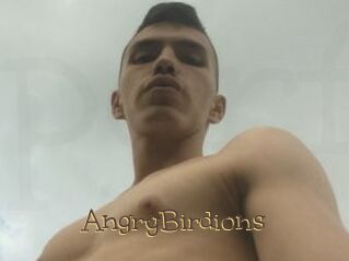 AngryBirdions