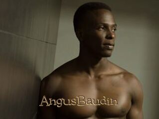 AngusBaudin