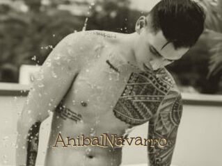 AnibalNavarro