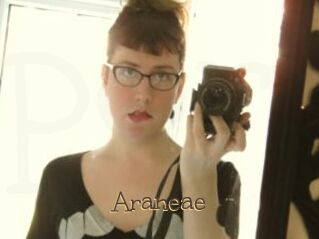 Araneae