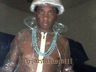 Arjantanisia111
