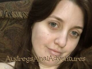 AudreysAnalAdventures