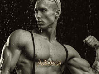 Adonis_