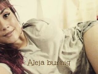Aleja_burnig