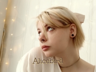 Alicebird