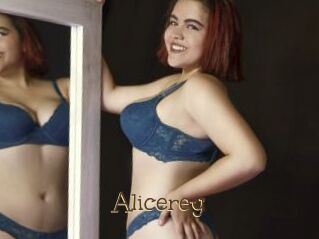 Alicerey