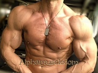 alphamuscledom Porno FR