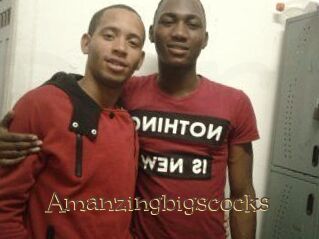 Amanzingbigscocks