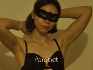 Aminet