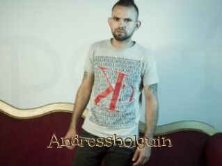 Andressholguin