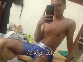 Andypolla