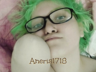 Aneris1718