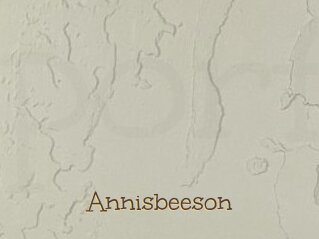 Annisbeeson