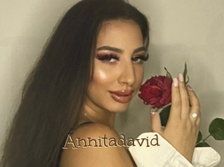 Annitadavid