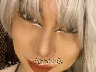 Anntook