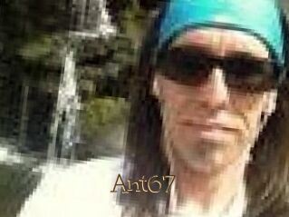Ant67