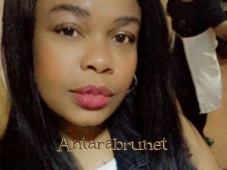 Antarabrunet