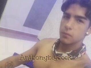Anthonybigcock
