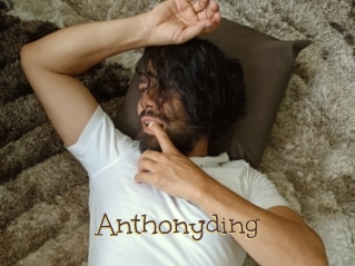 anthonyding Porno FR