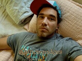 Anthonyridges