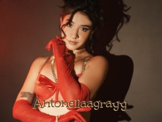 Antonellaagrayy