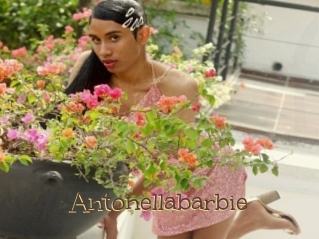 Antonellabarbie