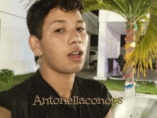 antonellaconors Porno FR