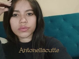 Antonellacutte
