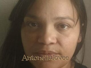 Antonellalovee