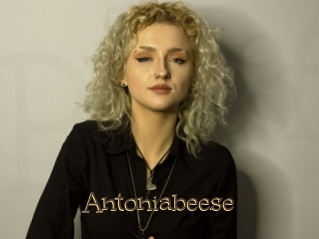Antoniabeese