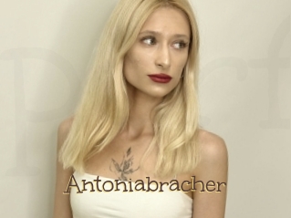 Antoniabracher