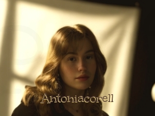 Antoniacorell