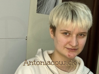 Antoniacowick