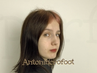 Antoniacrofoot