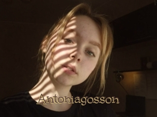 Antoniagosson