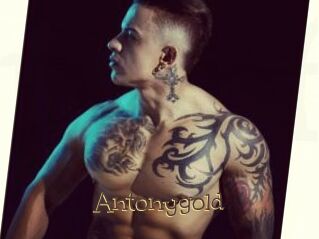 Antonygold