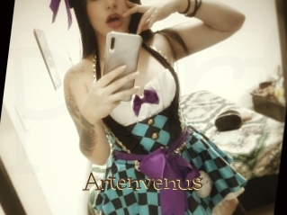 Artenvenus