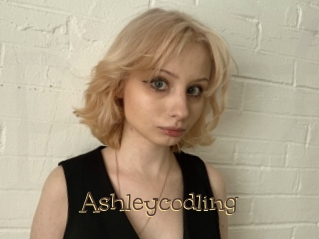 Ashleycodling