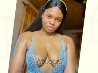 Attiedal