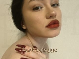 Audreybigge