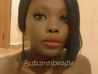 Autumnbeagle