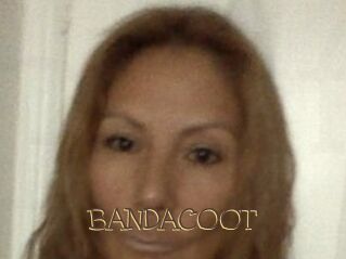 BANDACOOT