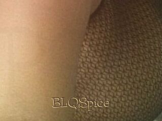 BLQSpice