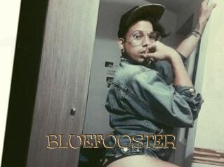 BLUEFOOSTER Porno FR