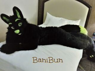 BaniBun