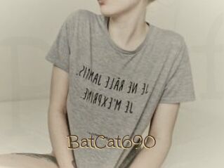 BatCat690