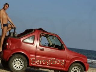BerryBoy