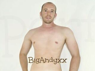 BigAndyxx